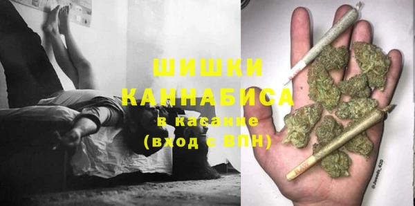 сатива Лихославль