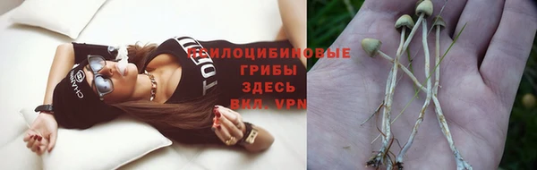 не бодяженный Богданович