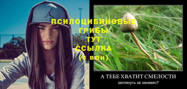 не бодяженный Богданович