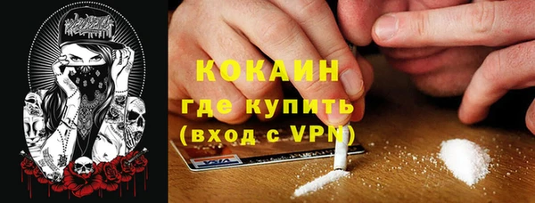 кокс Богородицк