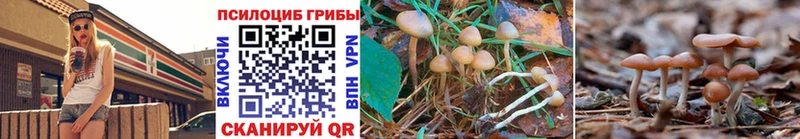 цены наркотик  Коряжма  Псилоцибиновые грибы Psilocybe 