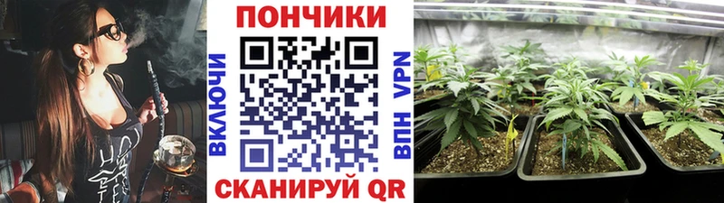 Конопля ГИДРОПОН  OMG зеркало  darknet какой сайт  Коряжма 